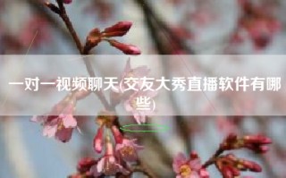 一对一视频聊天(交友大秀直播软件有哪些)