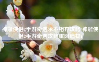 神雕侠侣2手游奇遇永不相弃攻略(神雕侠侣2手游奇遇攻略重阳遗物)