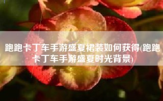 跑跑卡丁车手游盛夏裙装如何获得(跑跑卡丁车手游盛夏时光背景)