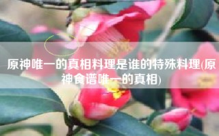 原神唯一的真相料理是谁的特殊料理(原神食谱唯一的真相)