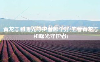 青龙志和曙光守护者哪个好(王者青龙志和曙光守护者)