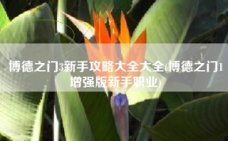 博德之门3新手攻略大全大全(博德之门1增强版新手职业)