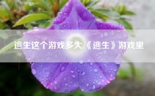 逃生这个游戏多大,《逃生》游戏里