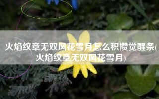 火焰纹章无双风花雪月怎么积攒觉醒条(火焰纹章无双风花雪月)