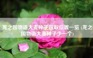 龙之国物语大麦种子获取位置一览 (龙之国物语大麦种子少一个)