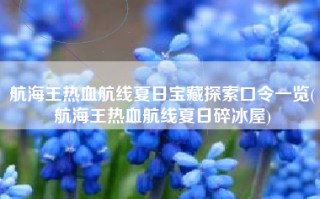 航海王热血航线夏日宝藏探索口令一览(航海王热血航线夏日碎冰屋)