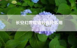 长安幻世绘拓片有什么用