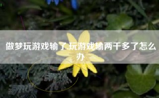 做梦玩游戏输了,玩游戏输两千多了怎么办