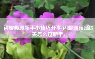 闪耀暖暖新手小技巧分享(闪耀暖暖2章5关怎么过新手)