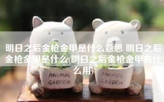 明日之后金枪金甲是什么意思 明日之后金枪金甲是什么(明日之后金枪金甲有什么用)