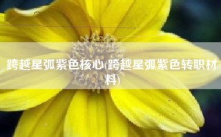 跨越星弧紫色核心(跨越星弧紫色转职材料)