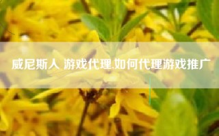 威尼斯人 游戏代理,如何代理游戏推广