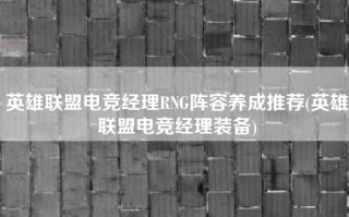 英雄联盟电竞经理RNG阵容养成推荐(英雄联盟电竞经理装备)