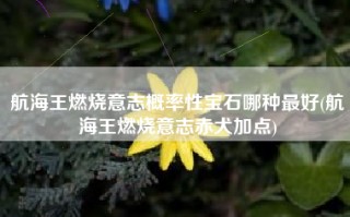 航海王燃烧意志概率性宝石哪种最好(航海王燃烧意志赤犬加点)