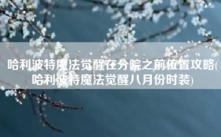 哈利波特魔法觉醒在分院之前位置攻略(哈利波特魔法觉醒八月份时装)