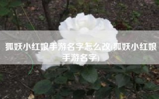 狐妖小红娘手游名字怎么改(狐妖小红娘手游名字)