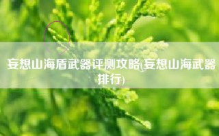 妄想山海盾武器评测攻略(妄想山海武器排行)