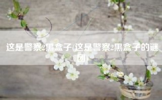 这是警察2黑盒子(这是警察2黑盒子的谜团)