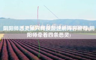 阴阳师恶灵巢穴辉夜姬速刷阵容推荐(阴阳师牵着四条恶灵)
