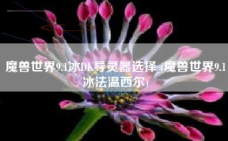 魔兽世界9.1冰DK导灵器选择 (魔兽世界9.1冰法温西尔)