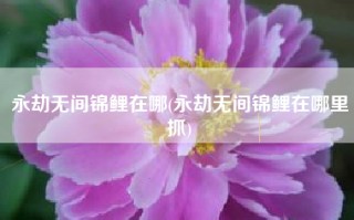 永劫无间锦鲤在哪(永劫无间锦鲤在哪里抓)