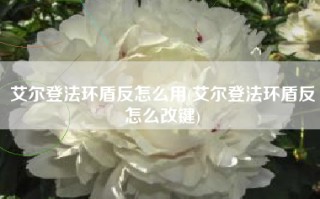 艾尔登法环盾反怎么用(艾尔登法环盾反怎么改键)