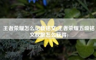 王者荣耀怎么记载铭文(王者荣耀五级铭文权限怎么获得)