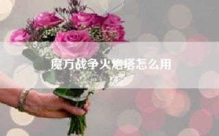 魔方战争火炮塔怎么用