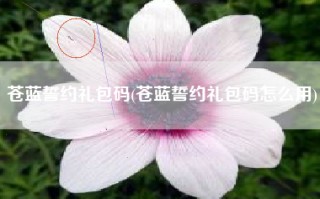 苍蓝誓约礼包码(苍蓝誓约礼包码怎么用)
