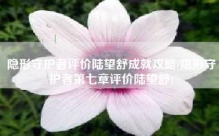 隐形守护者评价陆望舒成就攻略(隐形守护者第七章评价陆望舒)