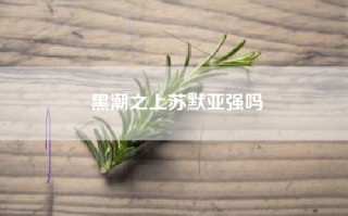 黑潮之上苏默亚强吗