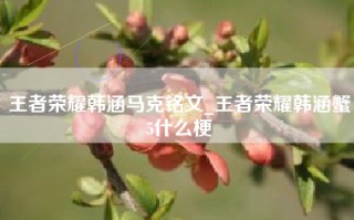 王者荣耀韩涵马克铭文_王者荣耀韩涵蟹5什么梗
