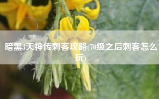 暗黑3天神传刺客攻略(70级之后刺客怎么玩)