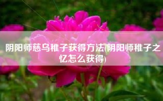 阴阳师慈乌稚子获得方法(阴阳师稚子之忆怎么获得)