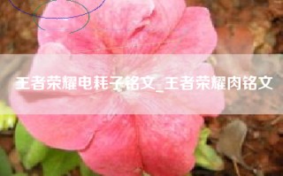 王者荣耀电耗子铭文_王者荣耀肉铭文