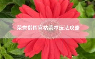 荣誉指挥官枯荣术玩法攻略