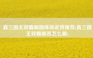 真三国无双霸刷图练级武将推荐(真三国无双霸银币怎么刷)