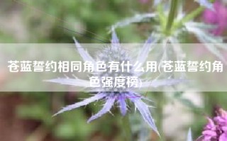 苍蓝誓约相同角色有什么用(苍蓝誓约角色强度榜)