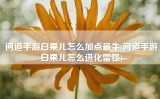 问道手游白果儿怎么加点最牛(问道手游白果儿怎么进化雷怪)