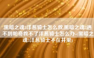 黑暗之魂3洋葱骑士怎么救,黑暗之魂3遇不到帕奇救不了洋葱骑士怎么办-(黑暗之魂3洋葱骑士不在井里)