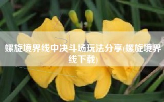 螺旋境界线中决斗场玩法分享(螺旋境界线下载)