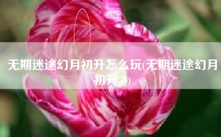 无期迷途幻月初升怎么玩(无期迷途幻月初升50)