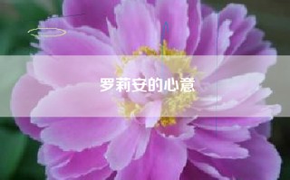 罗莉安的心意