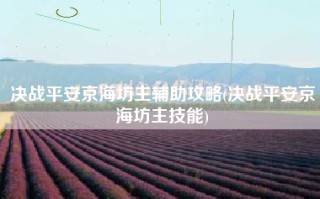 决战平安京海坊主辅助攻略(决战平安京海坊主技能)