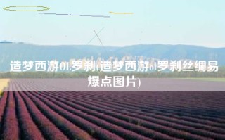 造梦西游OL罗刹(造梦西游ol罗刹丝绸易爆点图片)