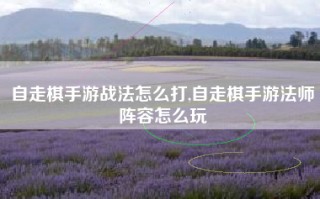 自走棋手游战法怎么打,自走棋手游法师阵容怎么玩