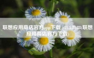联想应用商店官方app下载 v11.5.20.88(联想应用商店官方下载)