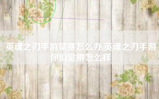 英魂之刃手游禁赛怎么办,英魂之刃手游你们觉得怎么样