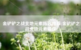 金铲铲之战北地元素阵容推荐(金铲铲之战北地元素游侠)