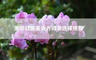 重装战姬麦肯齐词条选择推荐